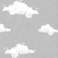 MiiRさんのアイコン画像