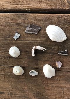 働け！反社の新人ちゃん！