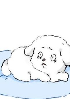 急に推しのペットになったんだが?