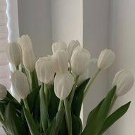 蜜柑🍊さんのアイコン画像