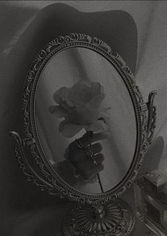 公主好像不喜欢.