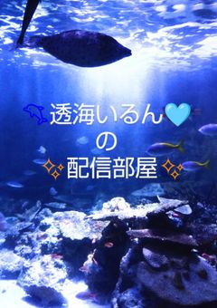 🐬透海いるん🩵の配信部屋✨
