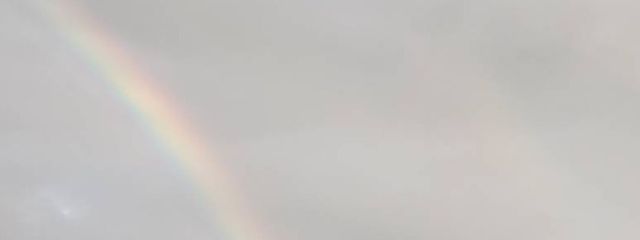 🩵いるか🐬#元🩷いちか🐬#引退済さんの壁紙画像