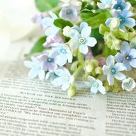 sakura🌸無期限活動休止さんのアイコン画像