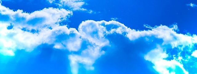 mint.さんの壁紙画像