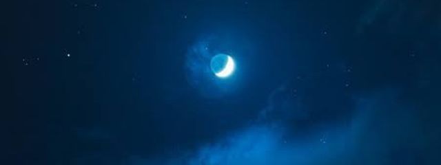 ぐれーぷふるーつさんの壁紙画像