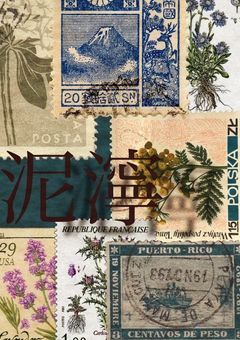 うん、期待せずに、期待しておこう。