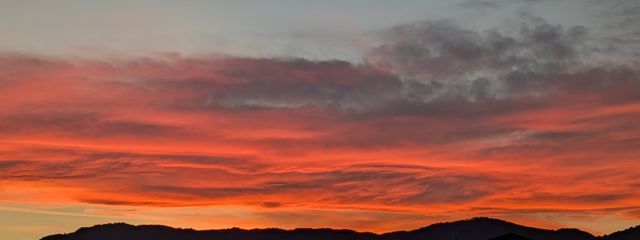 いちご🎼☔🦈˚ʚ🎲📦ɞ˚🎼ライブ宮城2日目参戦さんの壁紙画像