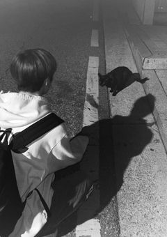 淫乱な ピョンテリノ集♡ 🔞    リク受け付け中〜♡