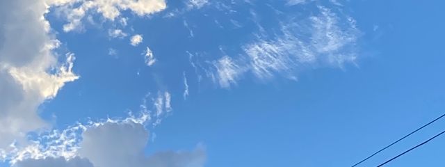 ヒルさんの壁紙画像