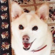 めいPさんのアイコン画像