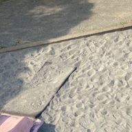 りあさんのアイコン画像