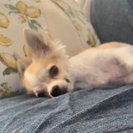 あかりさんのアイコン画像