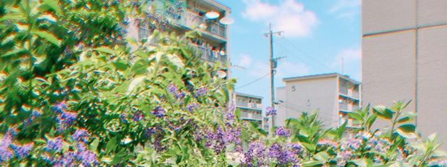 オキシドールさんの壁紙画像