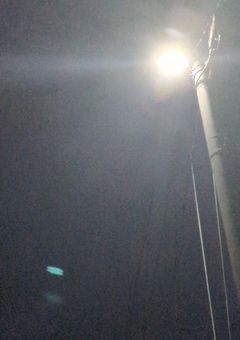 儚い君に恋をした 。 