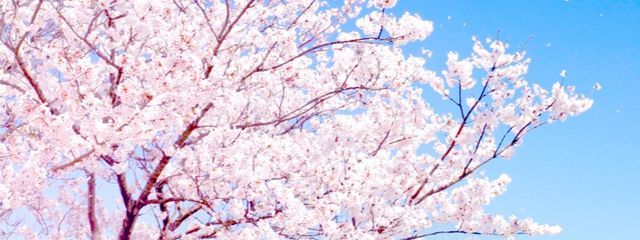 108（アレム）さんの壁紙画像