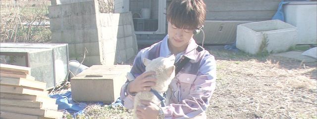 🦄ゆにこーん🦄さんの壁紙画像