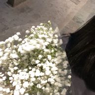 🌷🫶🏻さんのアイコン画像
