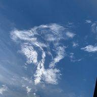 ユリ🐈‍⬛🥀@~3周年！！✨✨~さんのアイコン画像