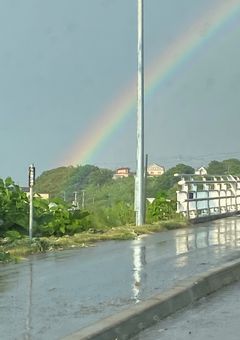 りーだー 、 幼児化 しました 。