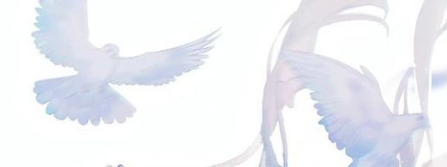 月導ななさんの壁紙画像