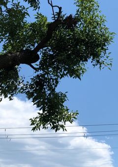 転生したら乙女ゲームの世界に行きました【zm】