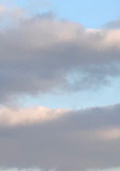 私にこれ以上死にたいと思わせないで！