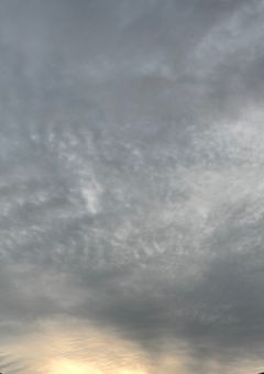 不登校の女の子はzmの幼馴染でもあり彼女！？【zm】