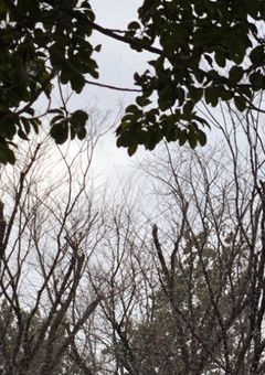 なんで私達はメンがヘラってるやつに好かれるの？