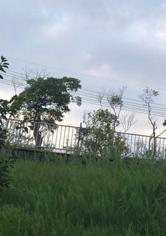 ロボットの私は人間を知りたい