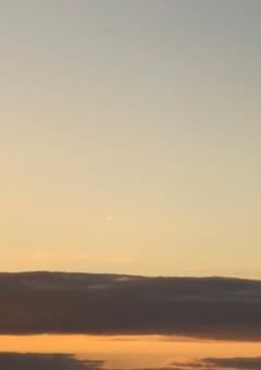 私に需要ないんで