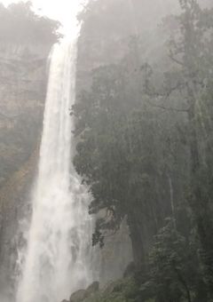 タイムリミットは1年です【os】