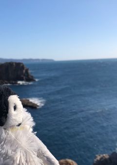 凸ったら顔バレした件