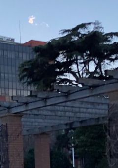 腐に染まったからってなんだ