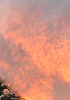 運営国にはもう一人幹部がいるそうで