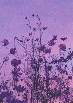 　無気力が合わさるとこうなる 