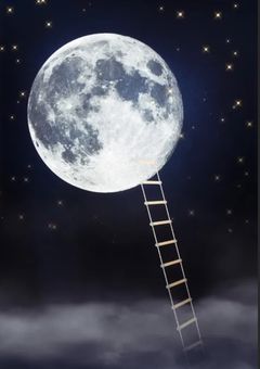 Wish For The Moon