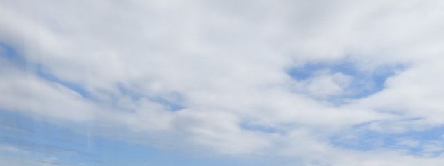 たいやき(仮)さんの壁紙画像