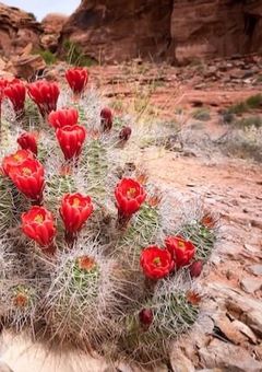 ใตใใใณๆ