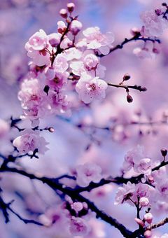 オリキャラ設定現場