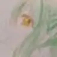 M17号さんのアイコン画像