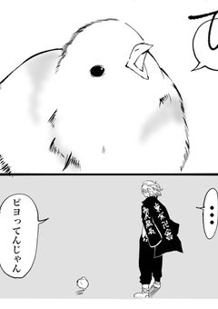 私は不良でもマネージャーでもありません！