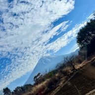 なつさんのアイコン画像