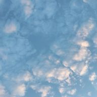 りそらねこさんのアイコン画像