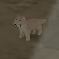 まろちゃんさんのアイコン画像