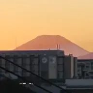あゆみさんのアイコン画像
