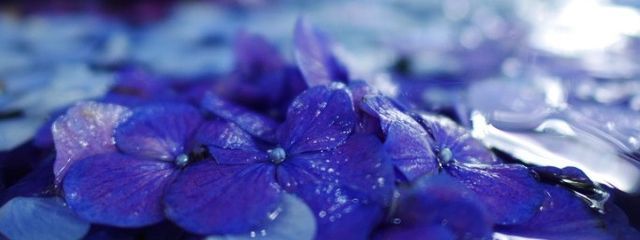 Rさんの壁紙画像