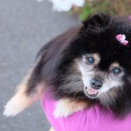 Rさんのアイコン画像