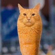 桜さんのアイコン画像