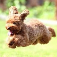 Yasuhiroさんのアイコン画像